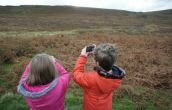 Inspired by Landscape: Moor Views