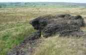 Seeing beneath the moor...